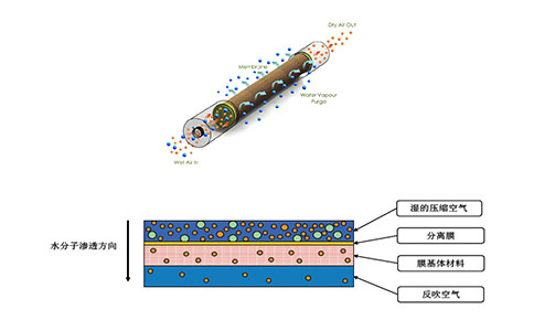 壓縮空氣膜干燥器工作原理圖 壓縮空氣膜干燥器工作原理圖