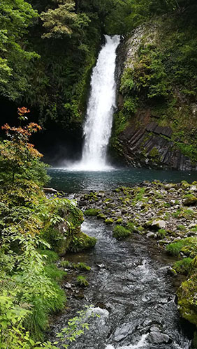 SR過濾技術有限公司在凈蓮瀑布