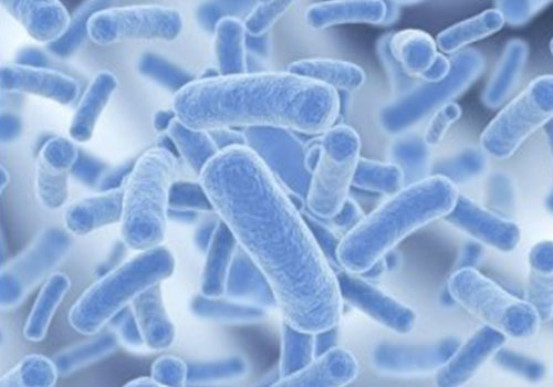 壓縮空氣在發酵行業的應用