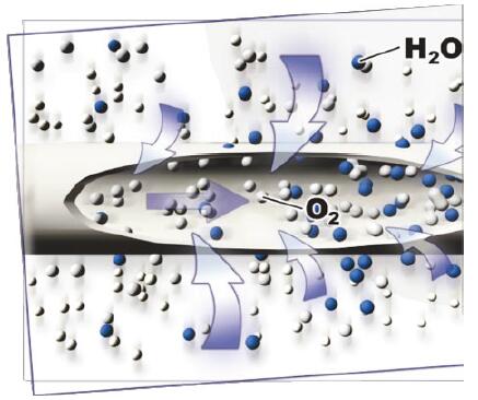 SR氧氣加濕器從環(huán)境空氣中吸收水分加入到氧氣中 SR氧氣加濕器從環(huán)境空氣中吸收水分加入到氧氣中